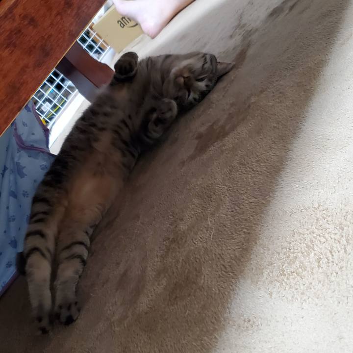 2a7fc65f 04f6 4895 a74e 667b26da3fee 1721316467038