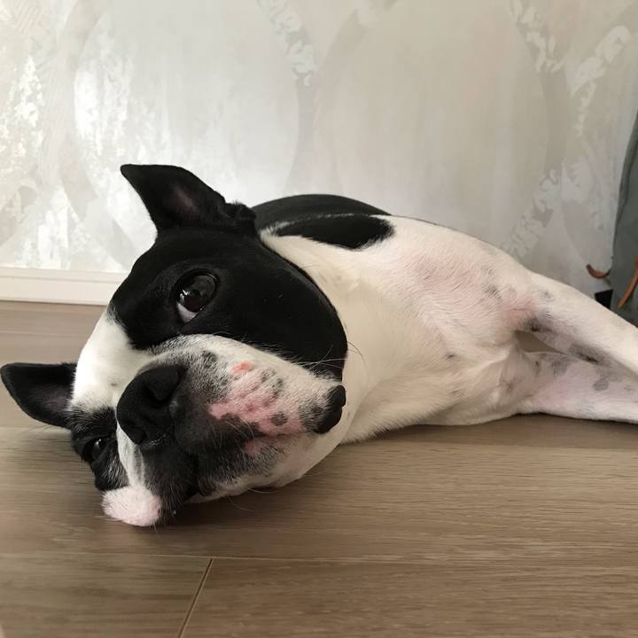 2a7fd176 1804 430f ae2a 27877a553b99 1600841826358