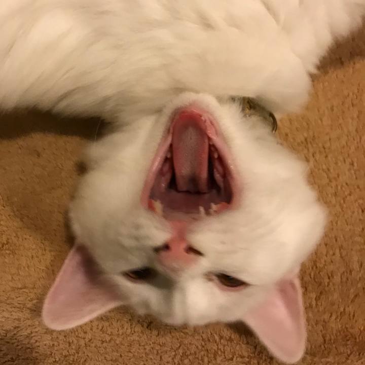 2a806565 9621 4b16 b094 432a85dc19d3 1510662051071