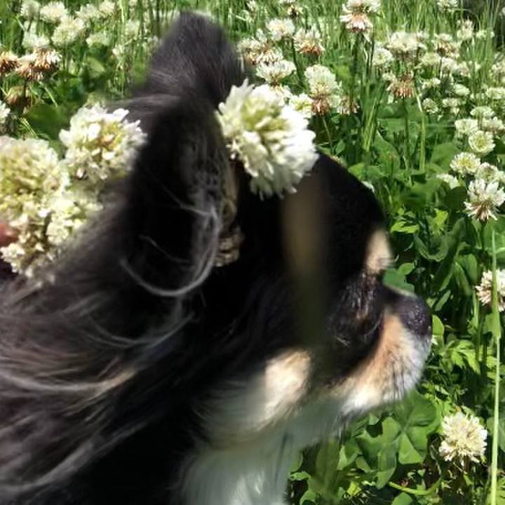 2a808c0b b72a 455f 88ea fa2ac9789dd1 1588895669689