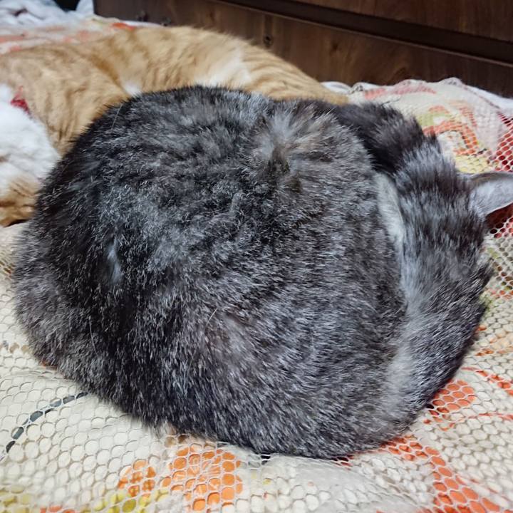 2a8093ca 0984 49ae a7a6 3f940a7a52f6 1572699670152