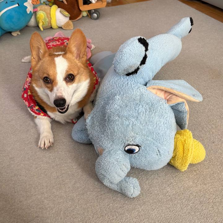 2a809b5e 241e 4fa2 8613 9c799f63bff4 1770859457339