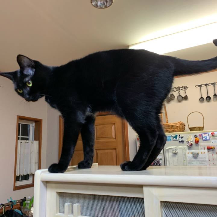 2a80ac8d f7f6 4a3d b8ed dfc4bb63c35d 1566300064993