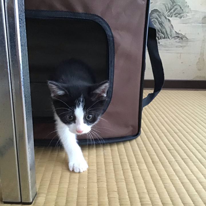 2a80b7f7 7cbb 4fc5 9603 0749507cd00d 1623746365831