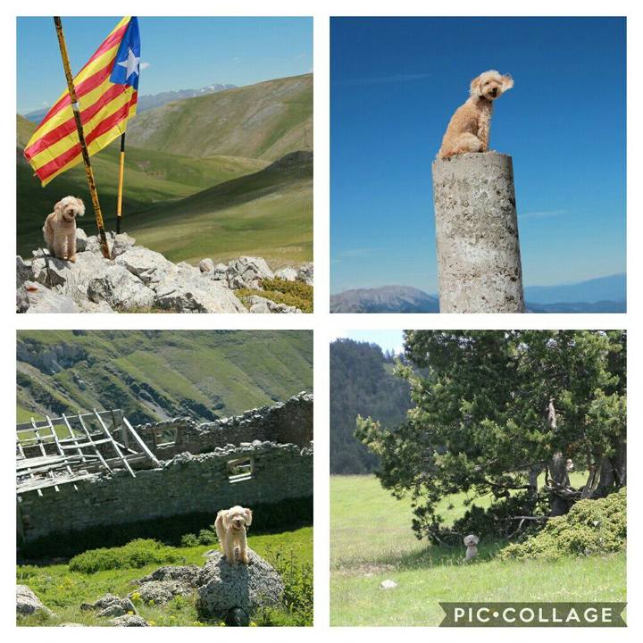 2a80e5f4 453a 4d21 8ec8 1cd9137009ad 1592840450099