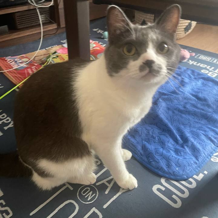 2a80f2bb 7d2c 4aa5 862e 9c31324880b3 1692310634663