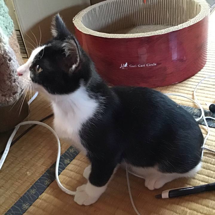 2a810159 d26f 4c4b 9546 2ad73368a729 1626130515852