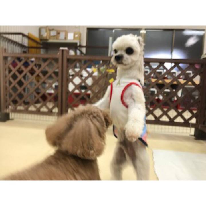 2a814141 c551 4082 b86d b631a6f678be 1539169311572