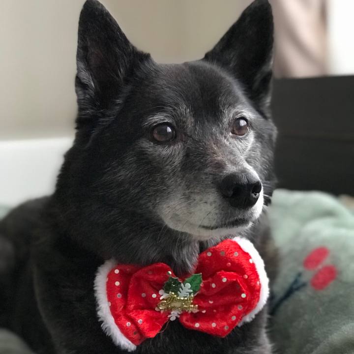 2a8169b4 53d0 4adf a061 39faf27f6266 1577254615693