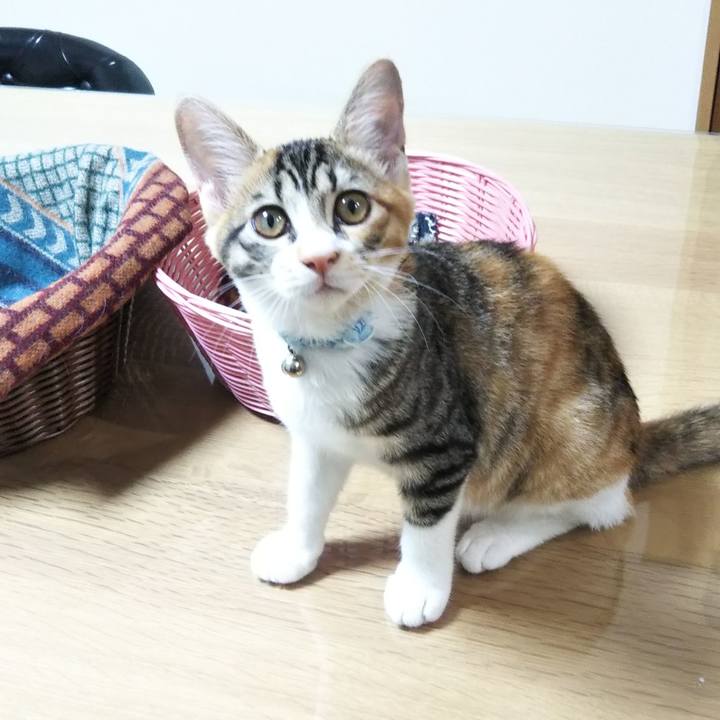 2a81a9d3 a513 43b7 b091 a8e46d48cb5a 1629065699167