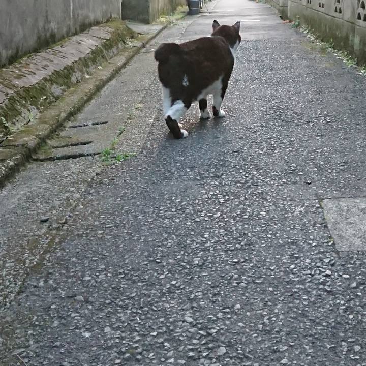 2a81b370 9354 4c7a be35 5273dca89dd7 1687866358724