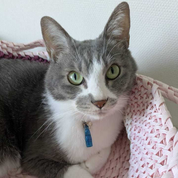 2a820327 ba22 4115 b455 2a9ce013eac4 1759194882348