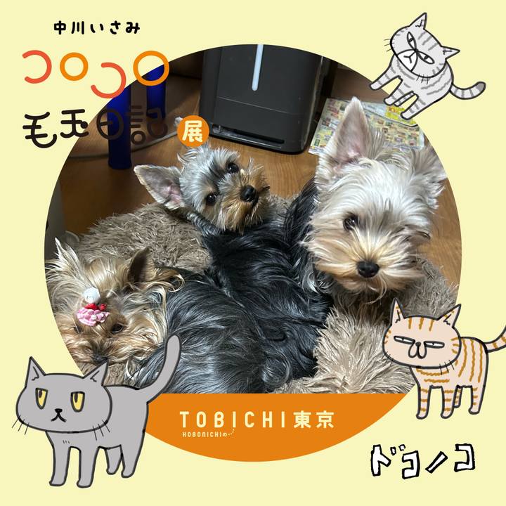 2a82217e e945 417d 9ac3 2505e612c389 1740286134773