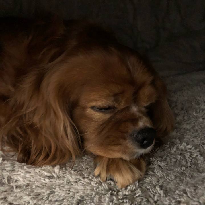 2a829f8e 47a8 4789 a7bc d4ab00999752 1635805216148