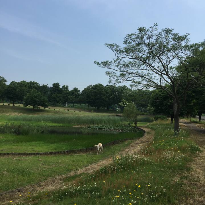 2a82b5eb 6f78 4515 9c42 55674312b00d 1549808415838