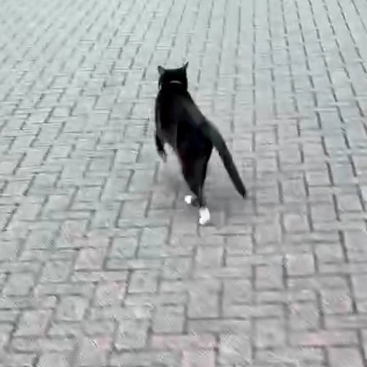 2a82c288 c822 4f70 b5ed e7504aabcc0c 1744442910756