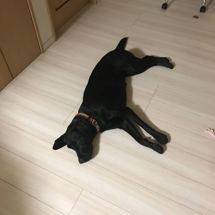 2a82c3ff b547 44b1 b39b a74a2dc53af5 1524999450529