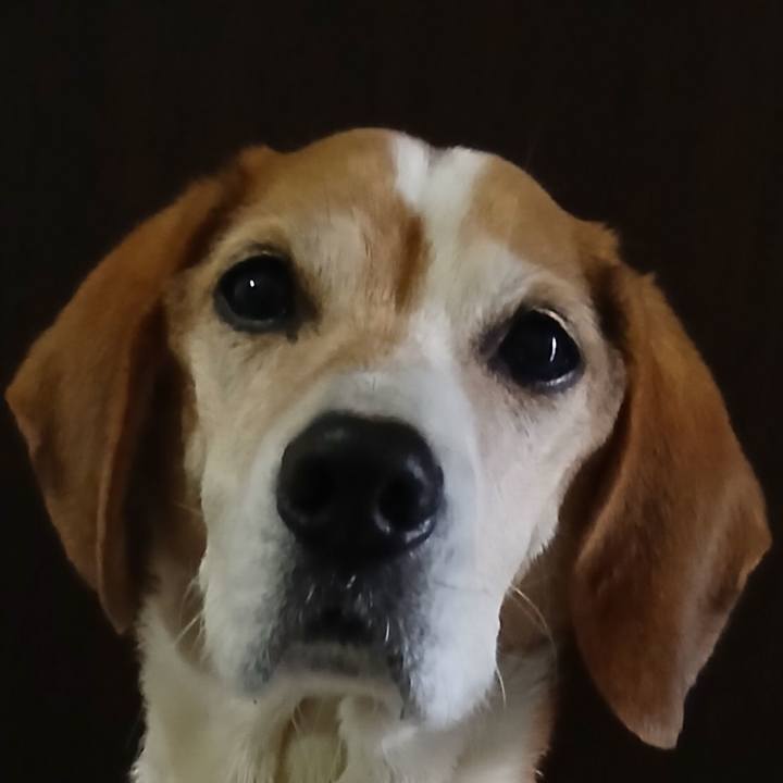 2a82ce03 2410 4396 b2ee e14676607097 1773063425716