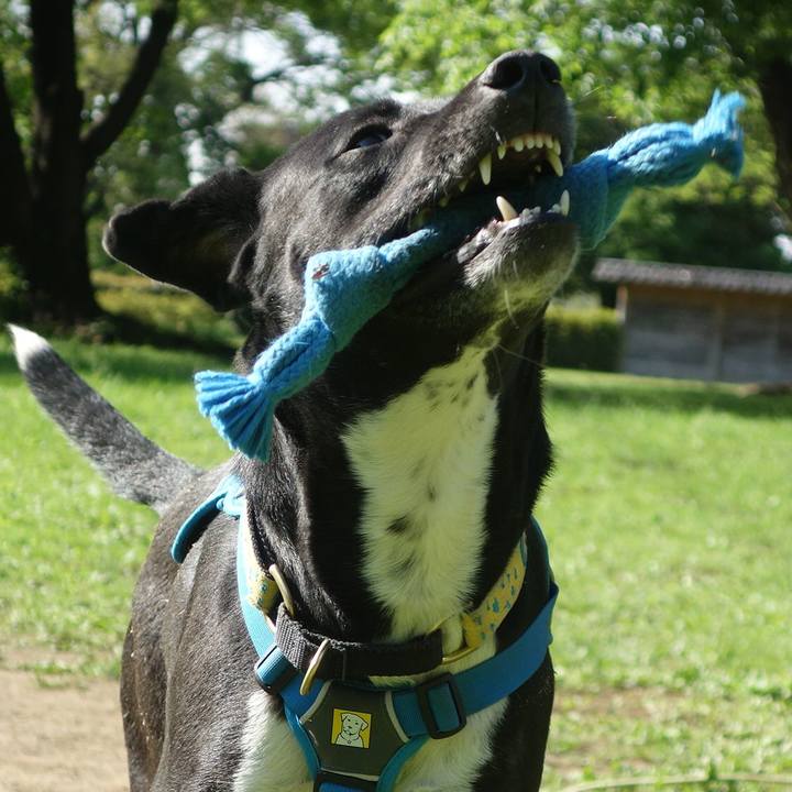 2a8302fa 916b 45b0 9592 35cf996b9143 1619483818004