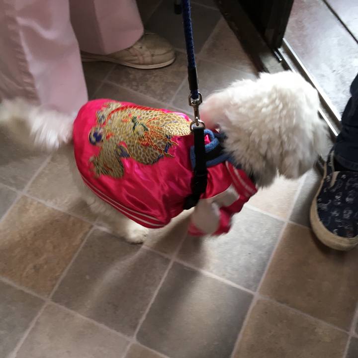 2a835912 c1d1 44d0 9147 d94bf2c7f893 1547948376070