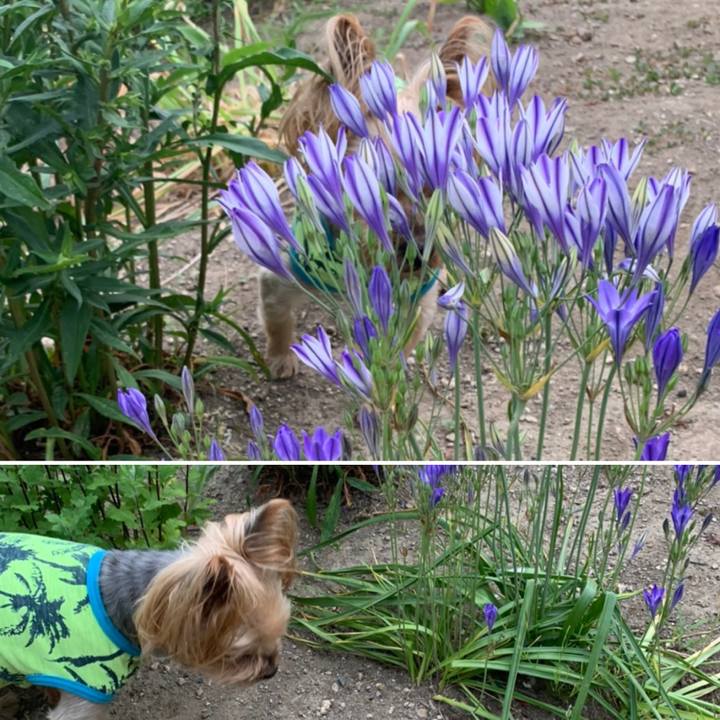 2a83763a fc70 4314 b7af 52f31ca67d28 1625650125130