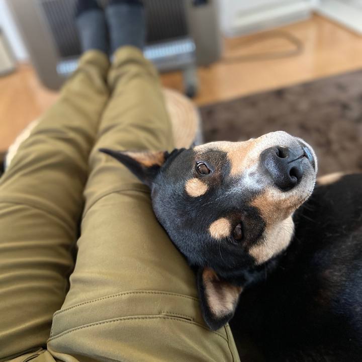 2a8396e3 e02b 434f 9a49 6a1fa202e590 1608351215961