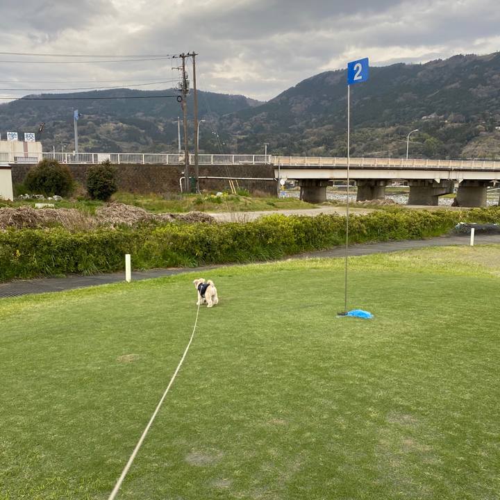 2a839f7b 1399 41f6 8a64 bbf365b69962 1585279835767