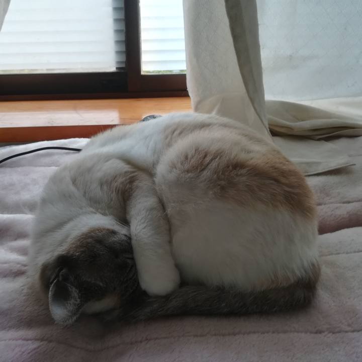 2a83adce 5421 40cf 988e 04437386b471 1524865019795