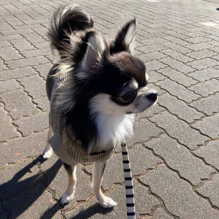 2a83bb4c 2e64 4029 b37a 2945dd1d26e4 1609392338278