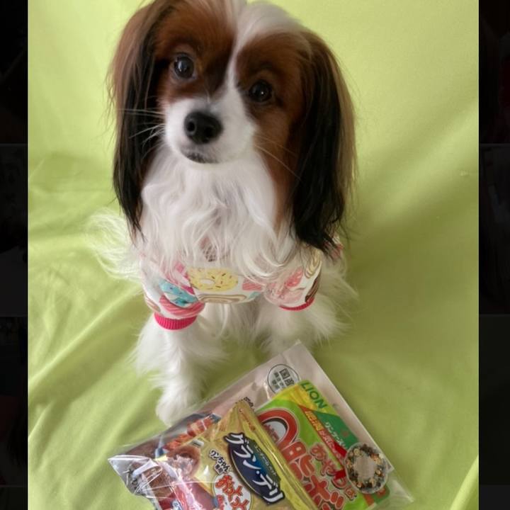 2a83cdbb c0b5 4c90 b8c3 71986f01b5b3 1671926046973