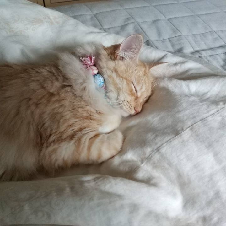 2a840bb5 e7aa 4174 9711 8611d9bdeecd 1630717180375