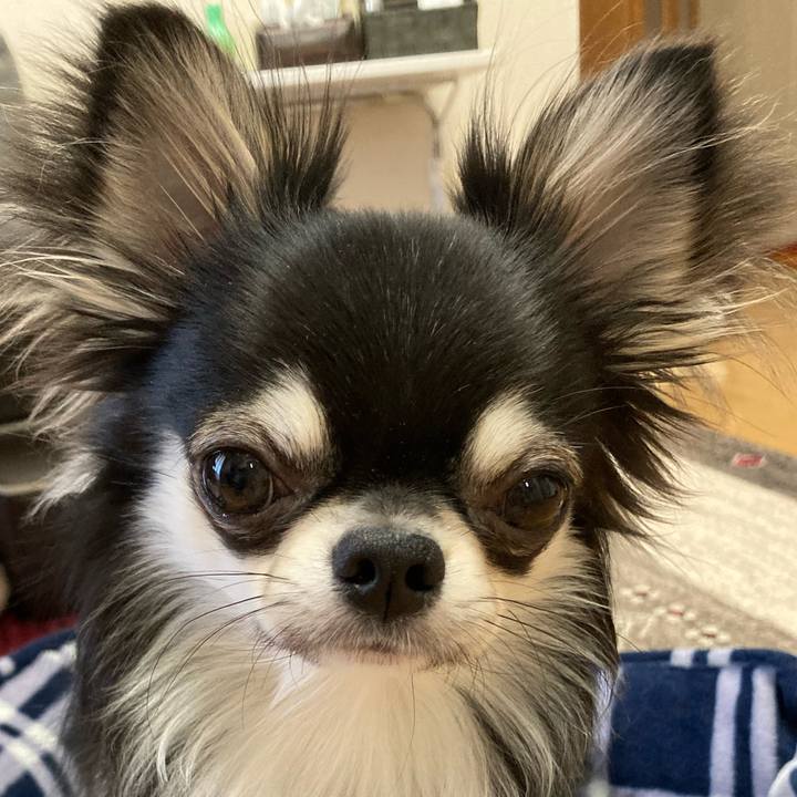 2a840bef e5fa 4e05 8611 2a21affe6010 1612653084237