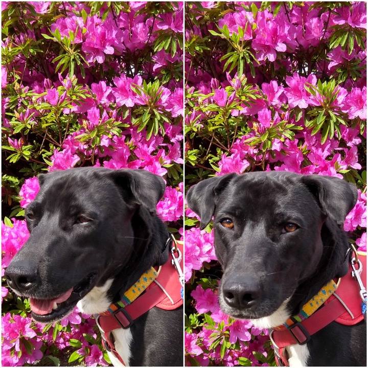 2a84309e 9d07 4f02 9e72 4915aa51ee8f 1588901406682