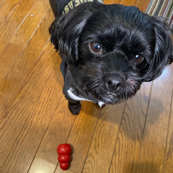 2a843a93 9de4 4cbd ae69 14dd7edcb57c 1573282867289