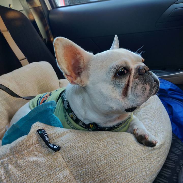 2a846cb7 9e3b 4b25 9ae1 23de326d8b8e 1636098186884