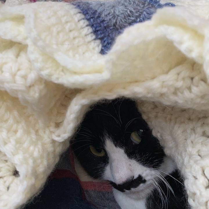 2a846e0f 20a6 4d1b 8f3b 23589afa91aa 1767711947562