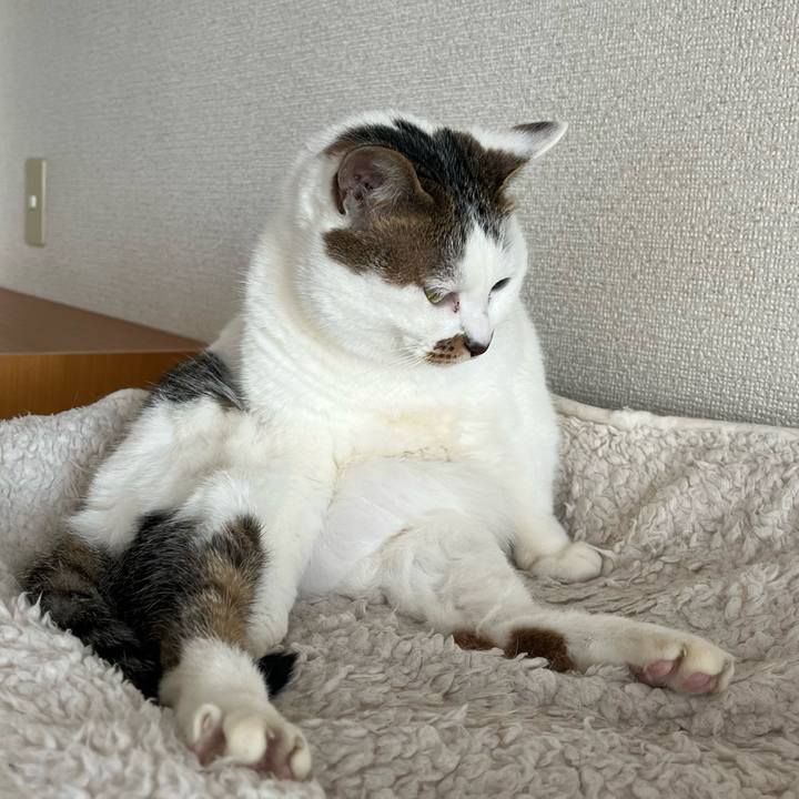 2a8473eb f948 428a b062 bef66c4e0eeb 1677987121565