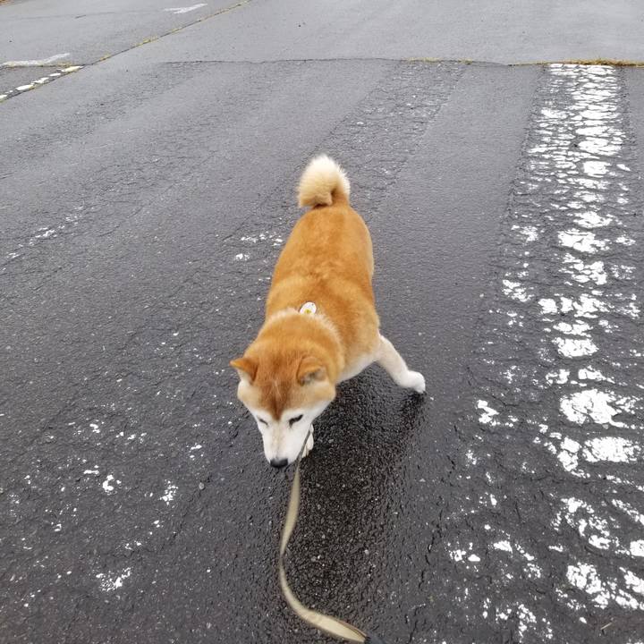 2a847a28 d997 47ca a256 28a18db1a1ff 1665036962765