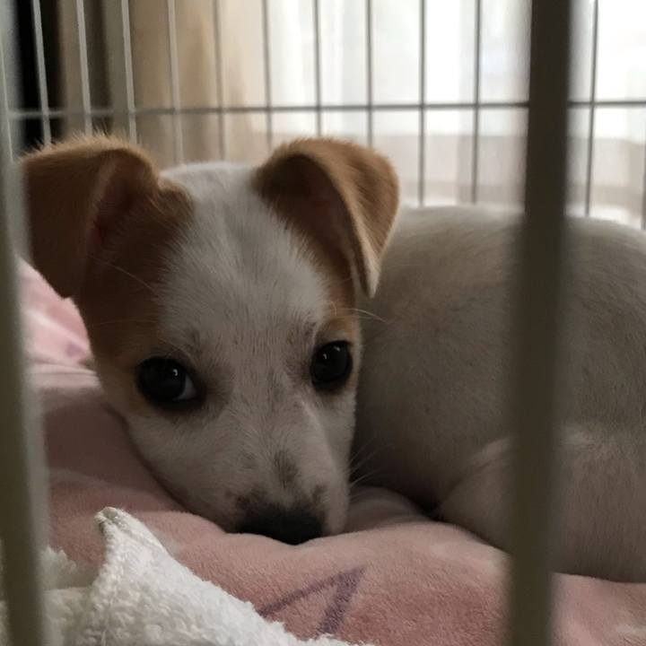 2a849509 596c 4163 a06d 67736fbf3191 1541302682757