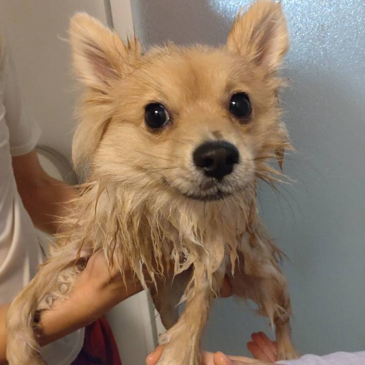 2a84b531 acd2 465a 9dec 9df665f9538c 1735177300661