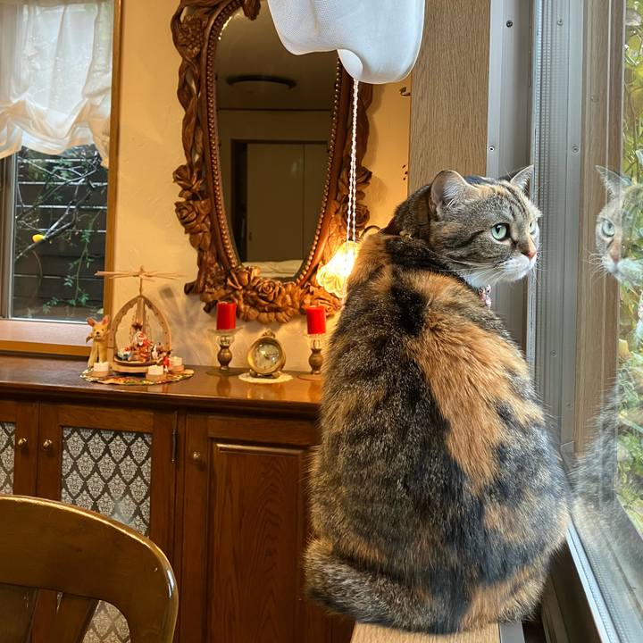 2a84d488 68b8 44cc bd12 f5b5dc06d34b 1766539016394