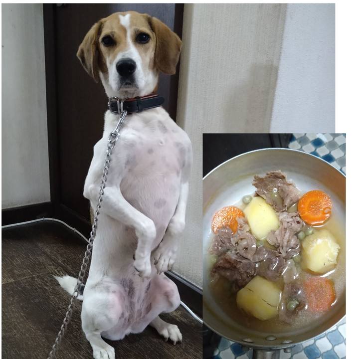 2a84ff8f 7a30 484f 96e3 8af8282c968c 1630657017406