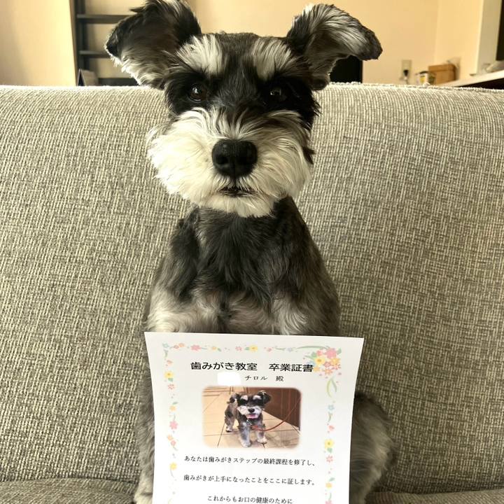 2a850471 4b0b 4d56 82a6 2c34ce377ee5 1742712949473