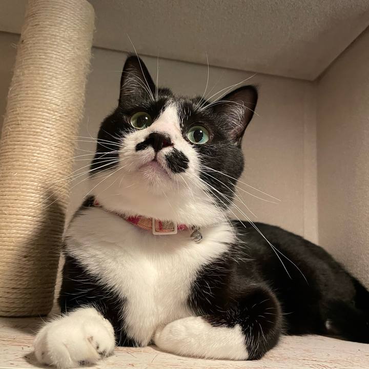 2a850778 4dd1 40b4 bdff eb6f0ea90d4f 1671452564548