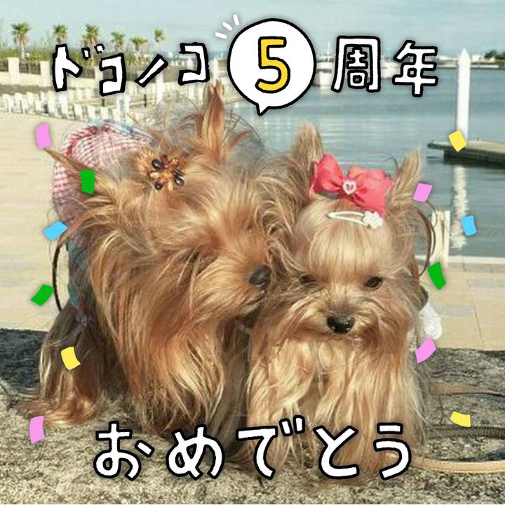 2a852484 08d0 44a4 bd23 f7047d73374d 1623544192715