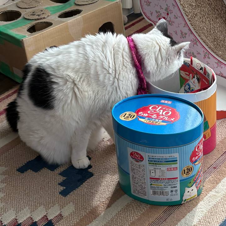 2a856b66 2bfb 4e34 8aa8 dd8341c17158 1771653849021