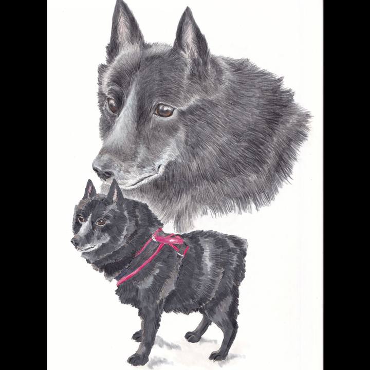 2a857cff 0129 4d1d a9c6 9c9d0190f866 1660224758378