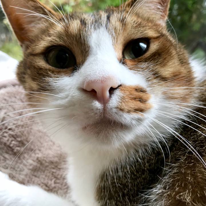 2a858243 a256 4d58 809b 8eda8285b3ee 1541861574733