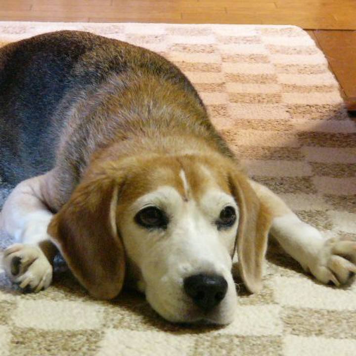 2a85960c b22f 4df8 bc03 d06889c5dbce 1653877928647