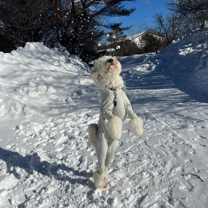 2a85c672 0d27 493b acda 8f8c982c04df 1740121936959